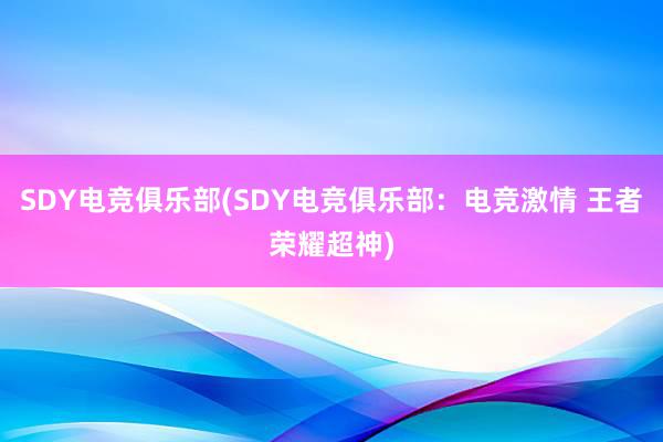 SDY电竞俱乐部(SDY电竞俱乐部：电竞激情 王者荣耀超神)