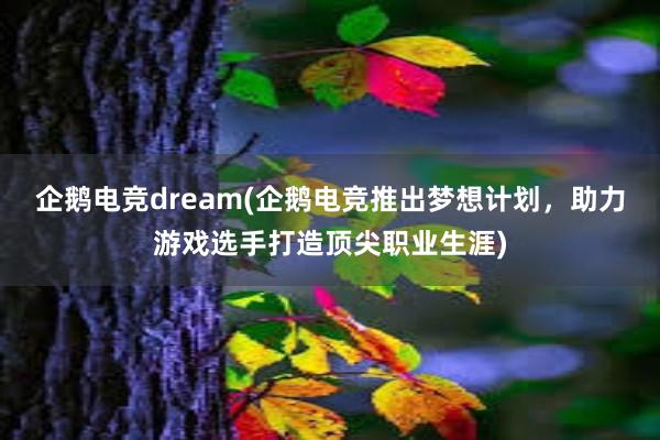 企鹅电竞dream(企鹅电竞推出梦想计划，助力游戏选手打造顶尖职业生涯)