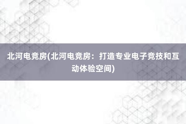 北河电竞房(北河电竞房：打造专业电子竞技和互动体验空间)