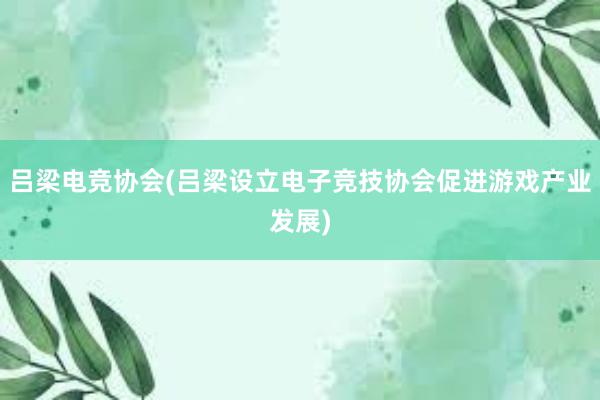 吕梁电竞协会(吕梁设立电子竞技协会促进游戏产业发展)