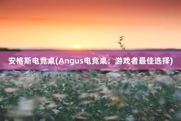 安格斯电竞桌(Angus电竞桌：游戏者最佳选择)