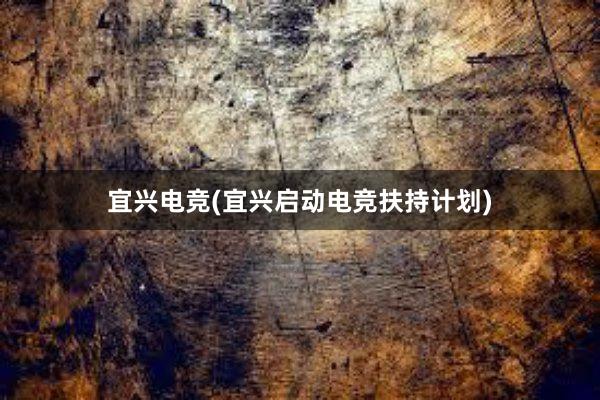 宜兴电竞(宜兴启动电竞扶持计划)