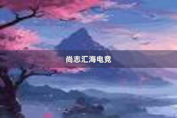 尚志汇海电竞