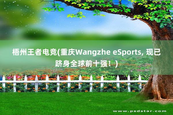 梧州王者电竞(重庆Wangzhe eSports， 现已跻身全球前十强！)