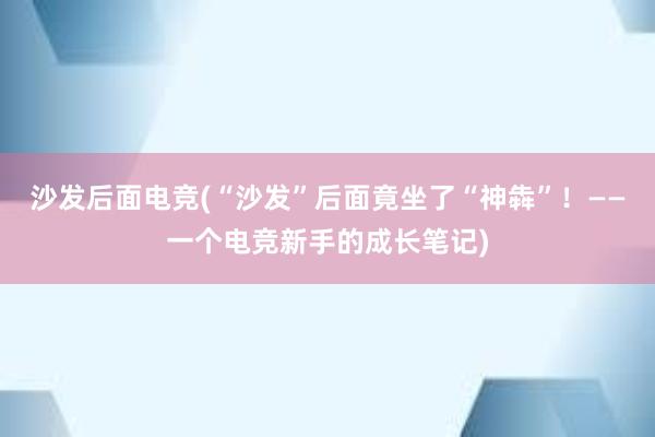 沙发后面电竞(“沙发”后面竟坐了“神犇”！——一个电竞新手的成长笔记)