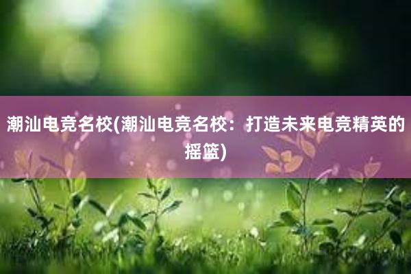 潮汕电竞名校(潮汕电竞名校：打造未来电竞精英的摇篮)