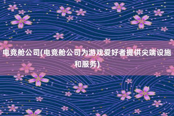 电竞舱公司(电竞舱公司为游戏爱好者提供尖端设施和服务)