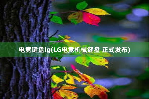 电竞键盘lg(LG电竞机械键盘 正式发布)