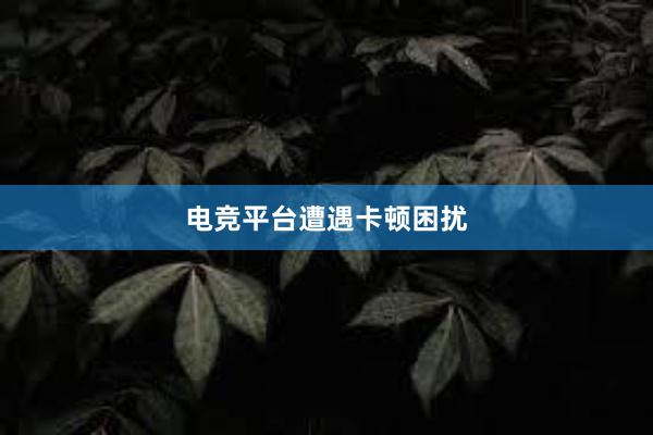 电竞平台遭遇卡顿困扰