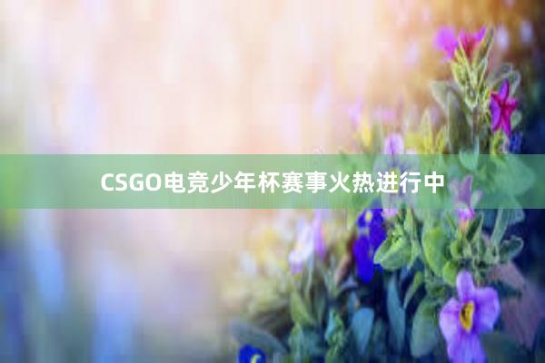 CSGO电竞少年杯赛事火热进行中