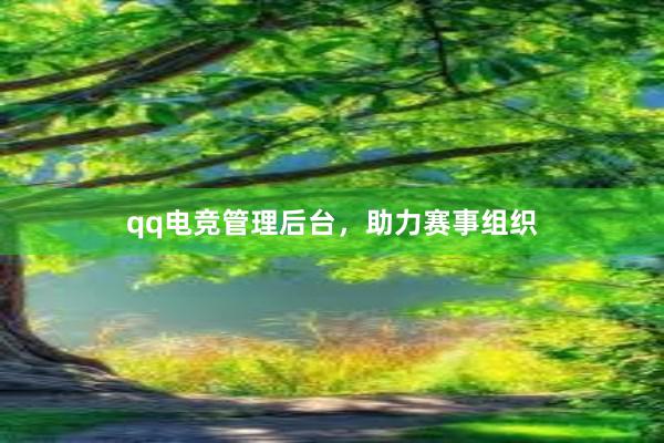 qq电竞管理后台，助力赛事组织