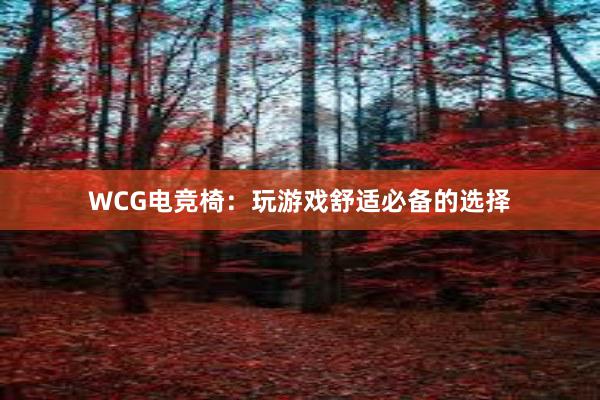 WCG电竞椅：玩游戏舒适必备的选择