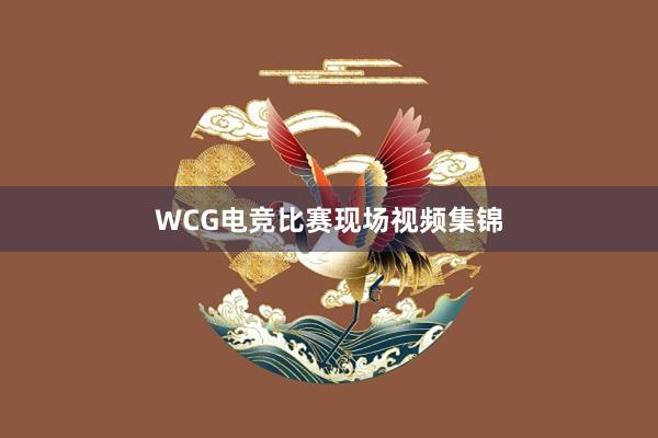 WCG电竞比赛现场视频集锦