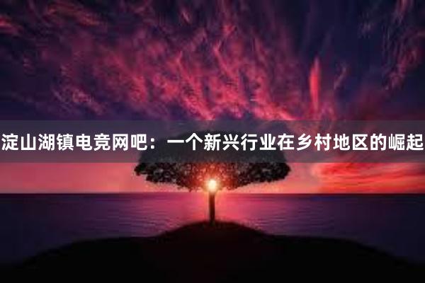 淀山湖镇电竞网吧：一个新兴行业在乡村地区的崛起