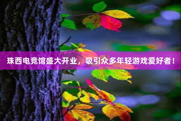 珠西电竞馆盛大开业，吸引众多年轻游戏爱好者！