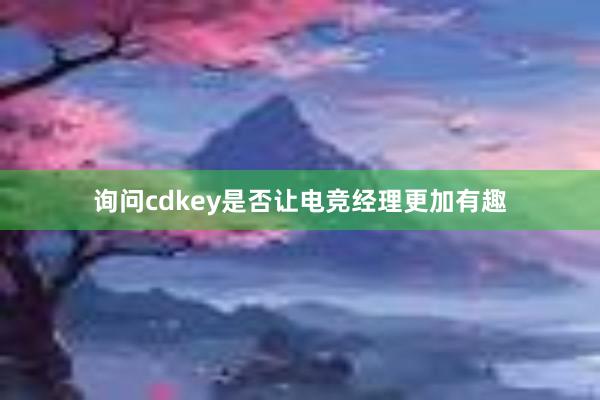 询问cdkey是否让电竞经理更加有趣