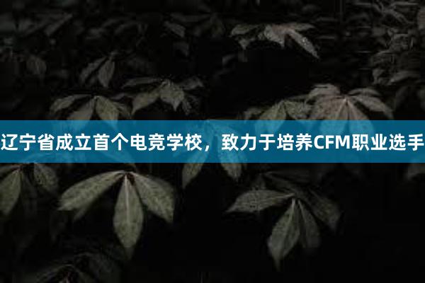 辽宁省成立首个电竞学校，致力于培养CFM职业选手