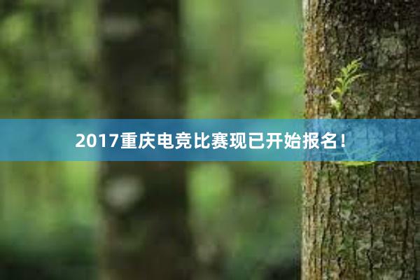 2017重庆电竞比赛现已开始报名！